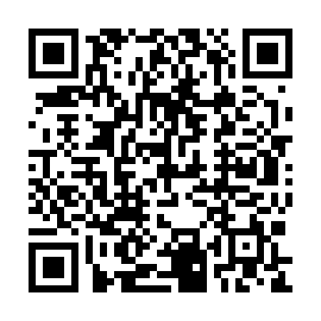 Zelle payment QR code for olsonironbills@gmail.com